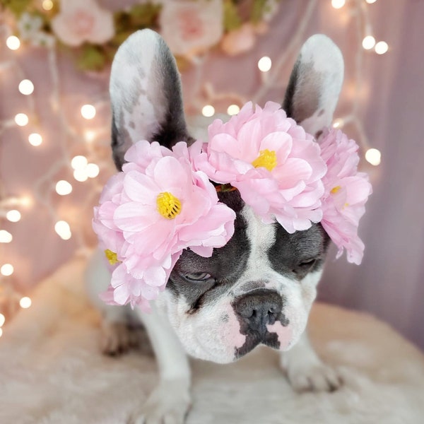 Flower crown  / Garden Flowers Pet wedding Set /Flower Crown/ Dogs Floral Headband /Cat Flower Crown Outfits/