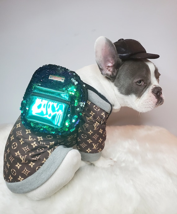 dog louis vuitton backpack