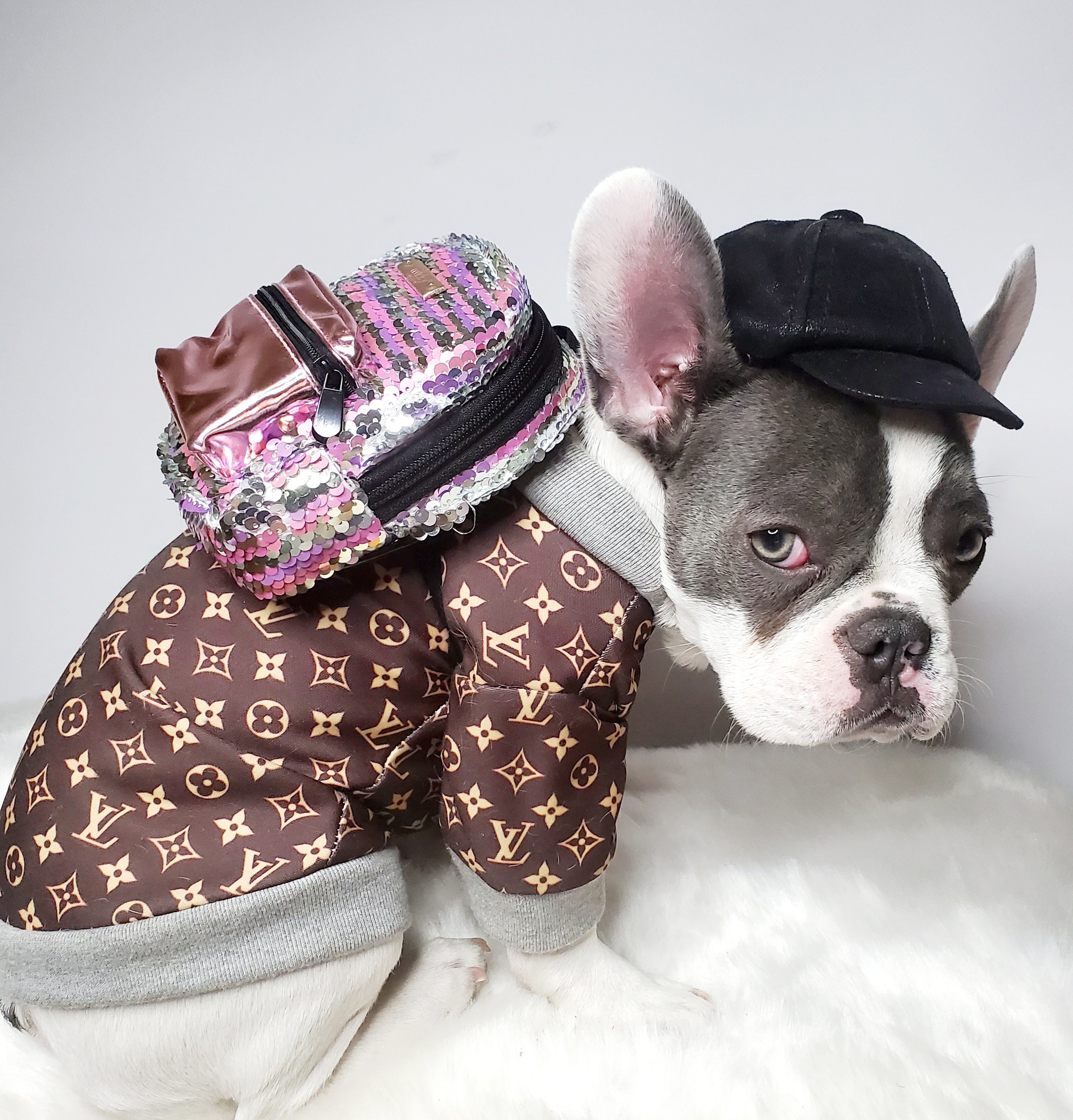 Buy Louis Vuitton Dog Clothing Online In India -  India