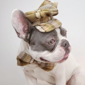 Dog Cap and Bow Tie Set, Pet Outfit image 8