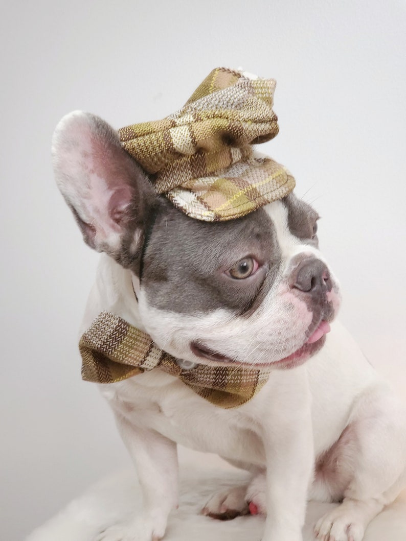 Dog Cap and Bow Tie Set, Pet Outfit image 8