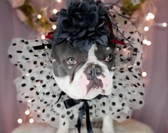 Dog hat /Elegant hat with  black  flower for large dog /Hat for large pet /Costume for dogs/