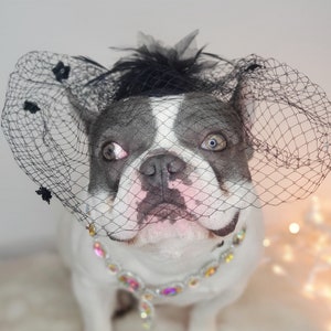 Elegant hat black color  /Hat for small pet /Costume for dogs/