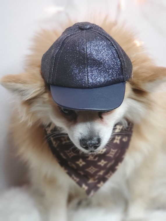 Louis Vuitton, Dog, Louis Vuitton Dog Jumper Small
