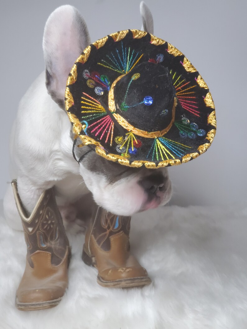 Chapeau sombrero mignon pour chien ou chat /Sombrero de chien dHalloween/ Sombrero de costume pour animaux de compagnie/ image 6