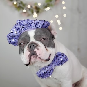 Set listing /Beret  hat   for dog or cat /Hat for dogs/Beret for dogs /