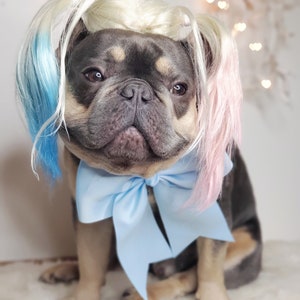Harley quinn dog wig with Pony tails /Cute pet wig for dog or cat / Halloween pet wig / Costume dog wig /Dog costume / image 2