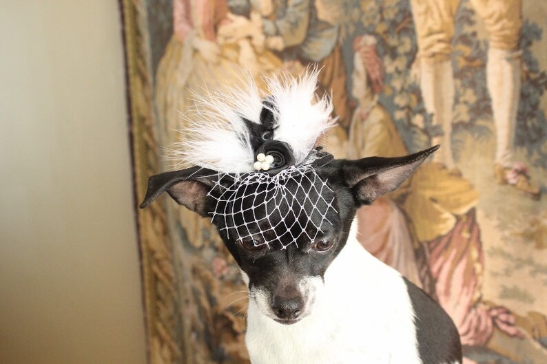 Cute black color mini hat with black and white color feather and flowers for dog or cat image 4