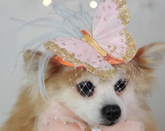 Elegant hat with   feather and   butterfly for dog or cat /Hat for small pet /Costume for dogs/