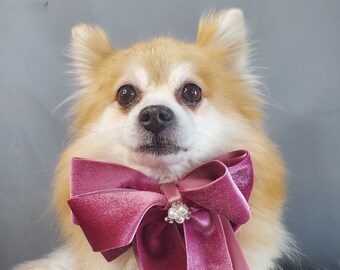 Velvet  Bow tie  // Dog Halloween Bow //  Costume || Dog Neck Tie || Pet Bow Tie || Dog Clothes