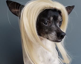 blonde wig dog