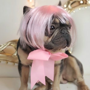 May include: A French Bulldog wearing a pink wig and a large pink bow. The dog has a black and tan coat and is sitting in front of a white background with decorative lights.