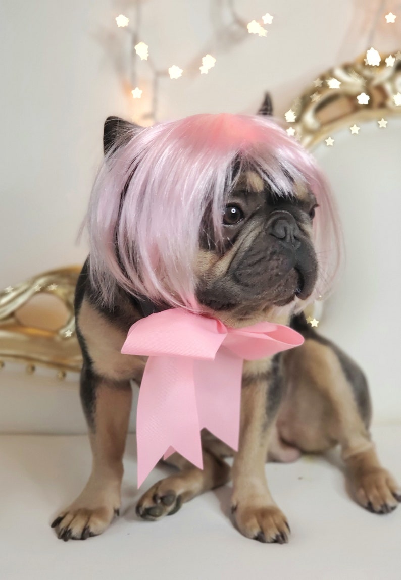 May include: A French Bulldog wearing a pink wig and a large pink bow. The dog has a black and tan coat and is sitting in front of a white background with decorative lights.