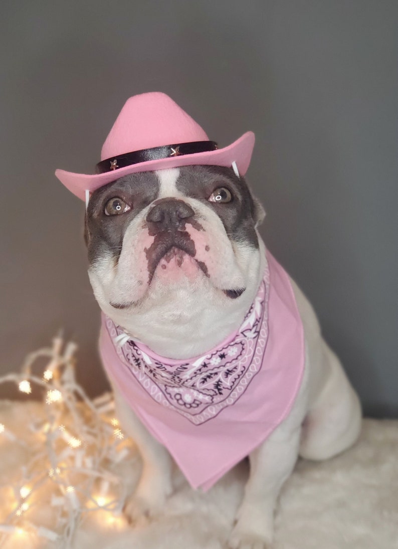 Cowboys hat for large dog /Dog costume /Frenchies cowboy hat / style # 1