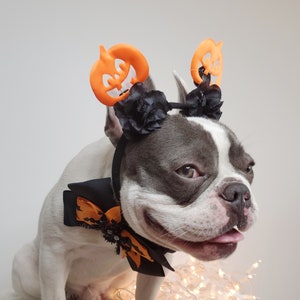 Beautiful headband and bow tie /Halloween costume/Dog costume / image 1