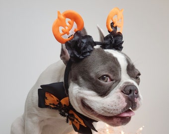 Beautiful  headband  and bow tie /Halloween costume/Dog costume /