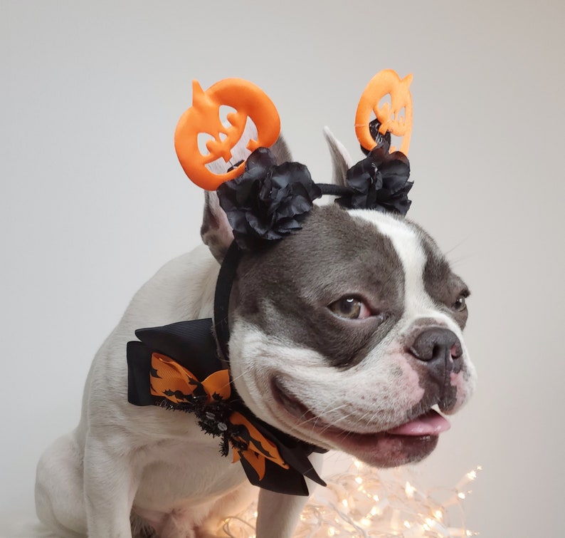 Beautiful headband and bow tie /Halloween costume/Dog costume / image 1