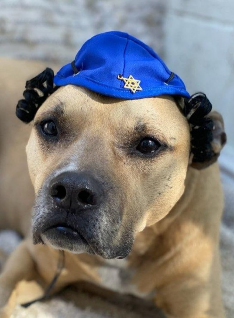 Yamaka hat for large dog Pet Hats & Wigs Pet Supplies