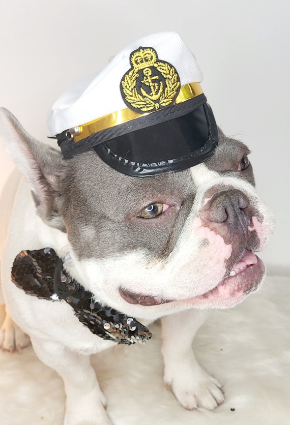 Dog captain hat 2025