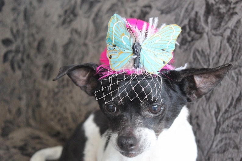 Cute black color mini hat with feather and butterfly
