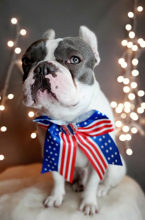 American flag dog bow tie discount