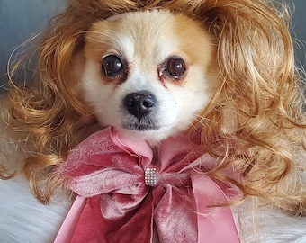 Supper  cute pet   wig  with  curly for dog or cat /Halloween dog wig  /Costume for dogs /Costume for cats