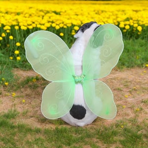 Butterfly wings for pet / Halloween costume/Dog costume/Dogs costume /