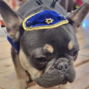 DOG KIPPAH Hanukkah hat and bow set for dog or cat/Hanukkah dog gift/Yarmulke for dogs/Yarmulke for cats//Kippah for dog image 7