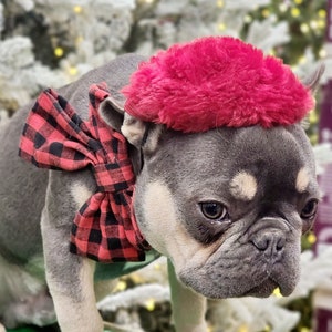 Beret  hat red color  for dog or cat  /Small animal  beret /Dog beret /