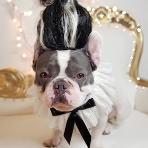 Frankenstein bride wig for pets / Dog costume /Costume for  pet / Wigs for pets /Halloween costume for dogs /