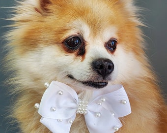 White  color Bow tie  // Dog Halloween Bow //  Dog Neck Tie || Pet Bow Tie || Dog Clothes