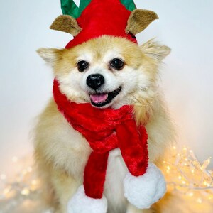 Elf Dog Hat /Elf Cat Hat / Elf Hat Costume for Pets /Dog Top Hat /Christmas Hat Costume image 6