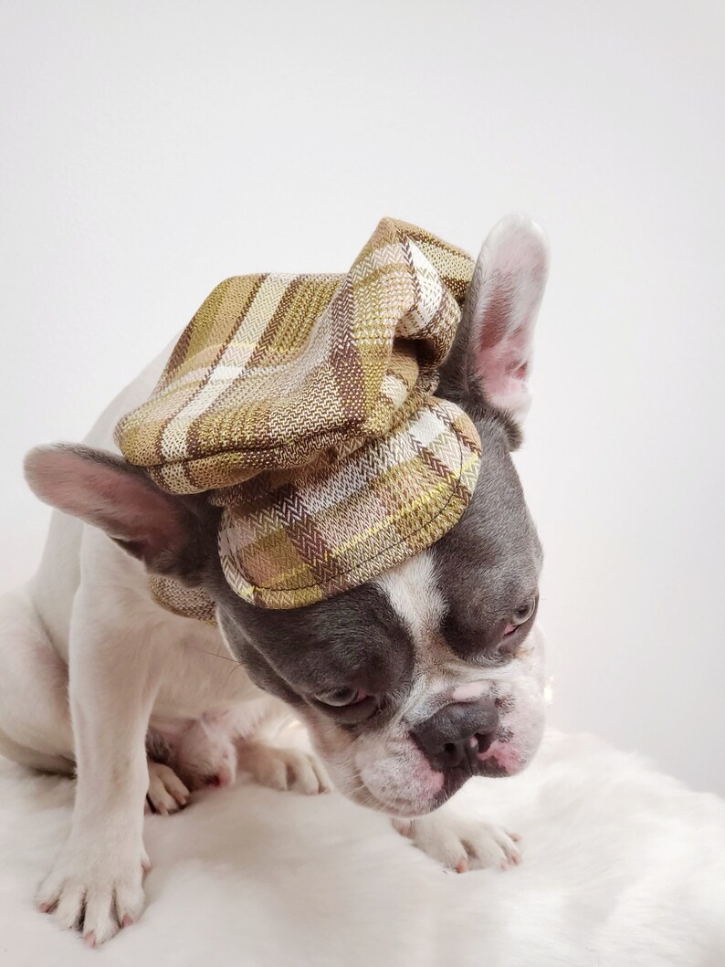 Dog Cap and Bow Tie Set, Pet Outfit image 2