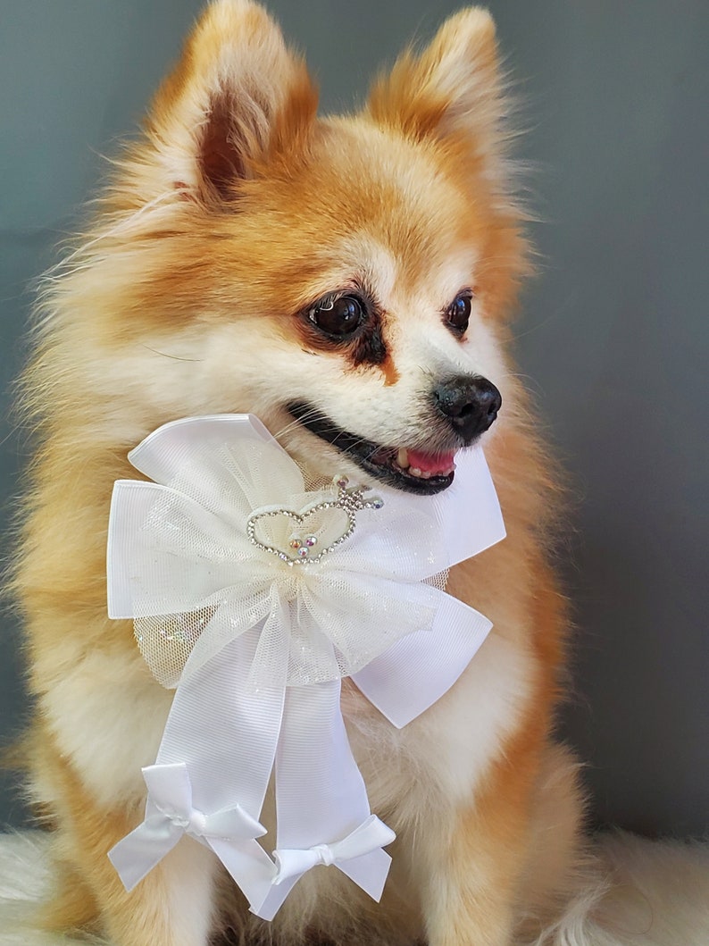 White color Bow tie // Dog Halloween Bow // Dog Neck Tie Pet Bow Tie Dog Clothes image 3