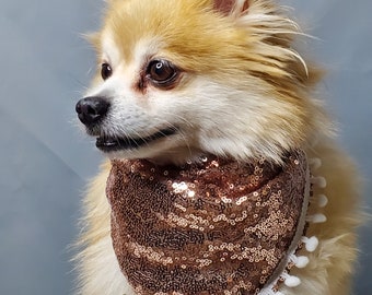 Cute   bandanna scarf  with white  trim  for dog or cat