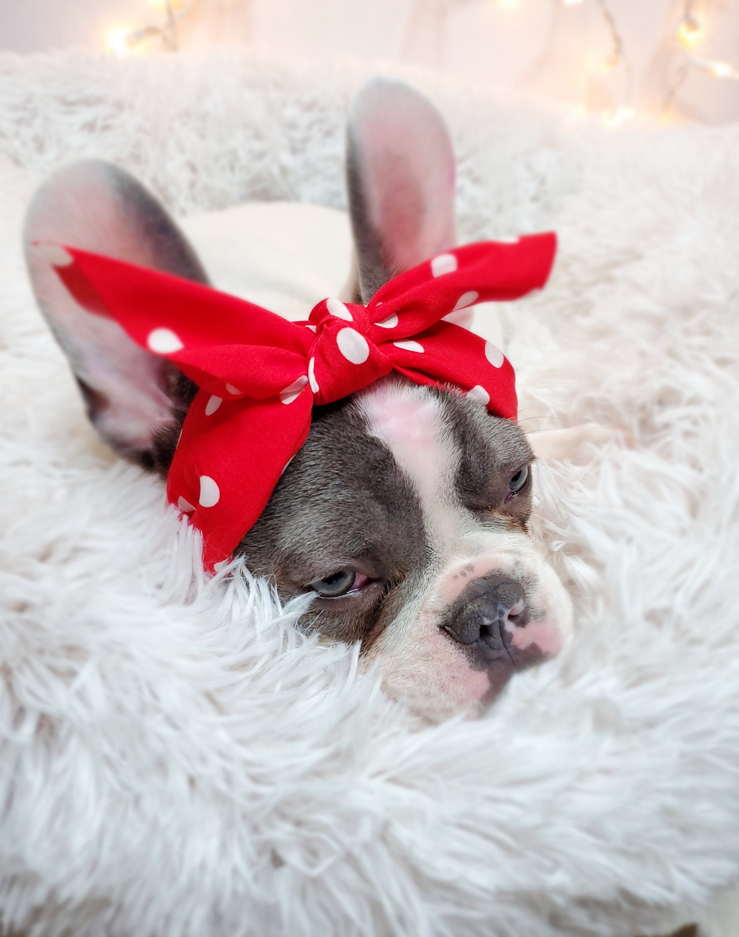 Balacoo Diadema para Perro Mascota Esponjoso Brillo Corazón Cabeza Bopper para Perro Accesorios para El Cabello de Mascotas para Navidad Fiesta de Cumpleaños de Boda de San Valentín Tamaño Libre 