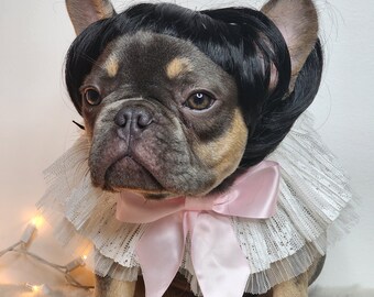 Pet   wig  for dog or cat/Halloween dog wig / Pet costume /Dog costume / Cat costume /