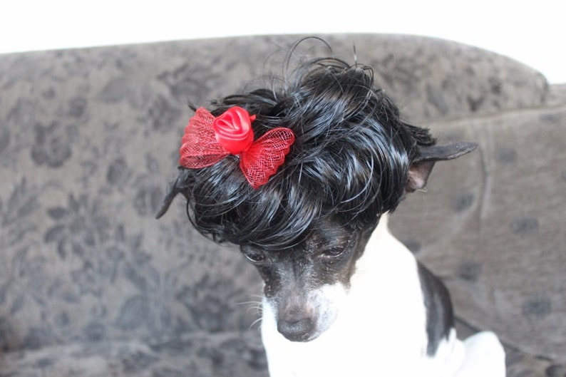 Black color pet wig with red color bow