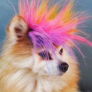 Mohawk for your pet / Halloween dog costume /Cat Mohawk /