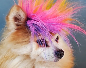 Mohawk for your pet / Halloween dog costume /Cat Mohawk /