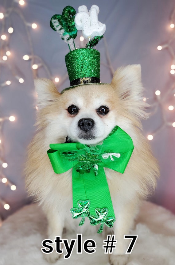 Pet Hat /irish Top Hat for Dogs /felt 