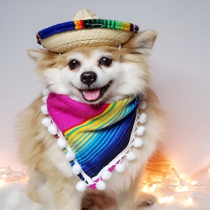 Set  sombrero hat  and bandanna scarf     for dog or cat/ Halloween pet costume/