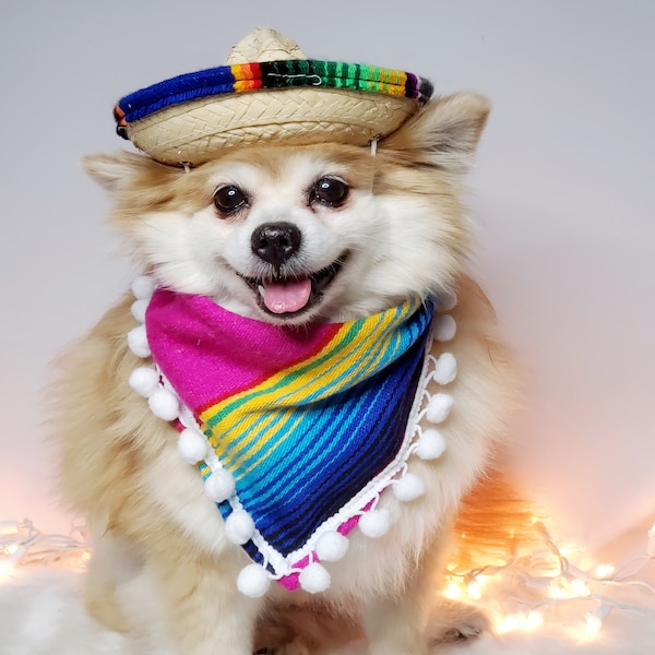 Set  sombrero hat  and bandanna scarf     for dog or cat/ Halloween pet costume/