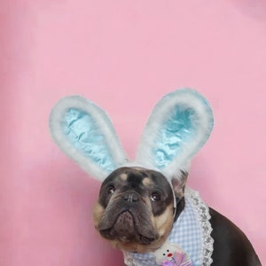 Easter Bunny headband for dog or cat /Bunny dog hat / Bunny dogs costume/ image 2