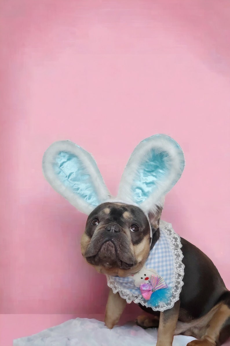 Easter Bunny headband for dog or cat /Bunny dog hat / Bunny dogs costume/ image 2