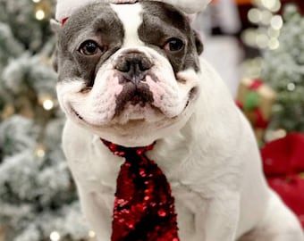 Christmas  Santa  hat   for  large size dog / Santa dog set /  Tie for dog /