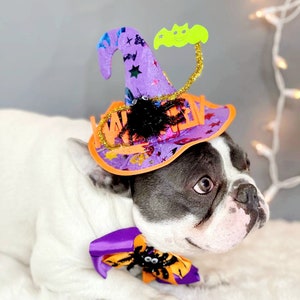 Witch hat for dog/ Black color Halloween hat with bow tie/Dog costume/Halloween costume/Cat Halloween costume/Dog costume image 7