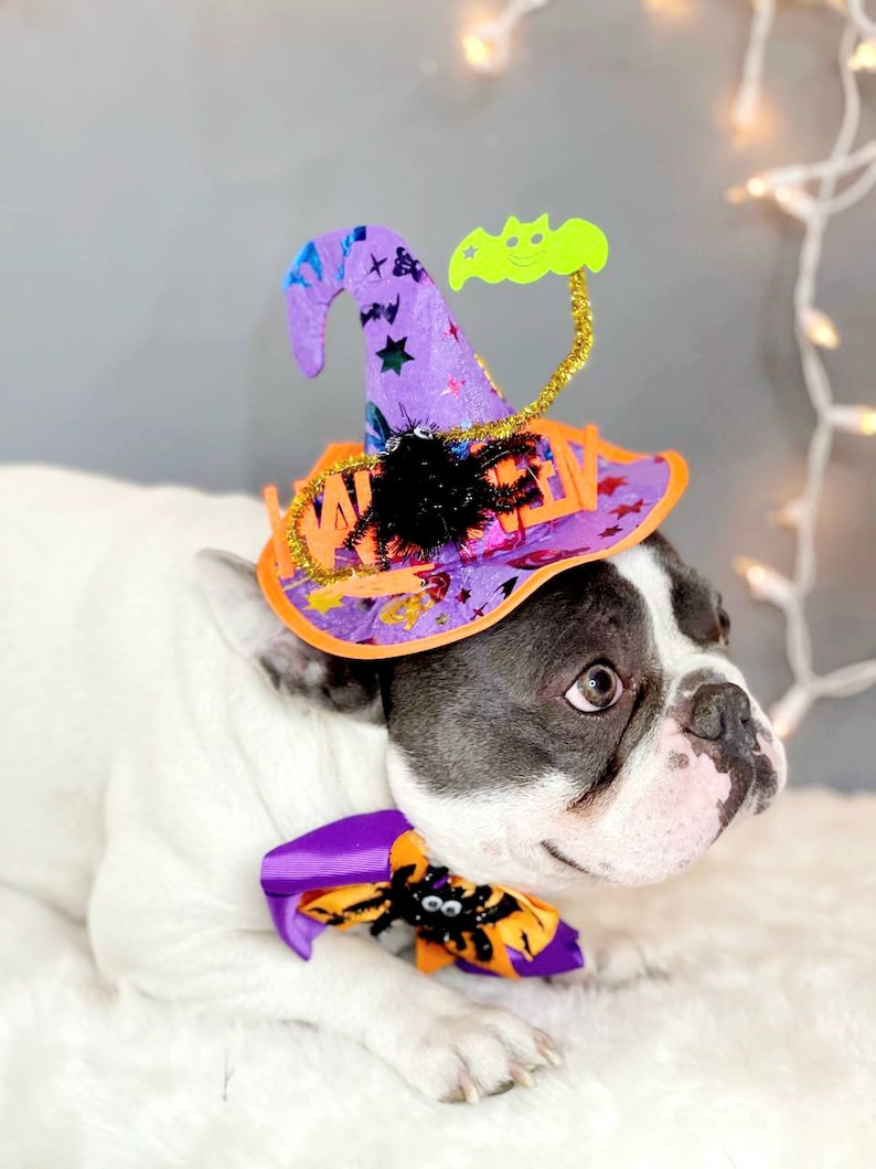 Witch hat for dog/ Black color Halloween hat with bow tie/Dog costume/Halloween costume/Cat Halloween costume/Dog costume image 7