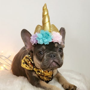 Unicorn Dog Costume Etsy Australia