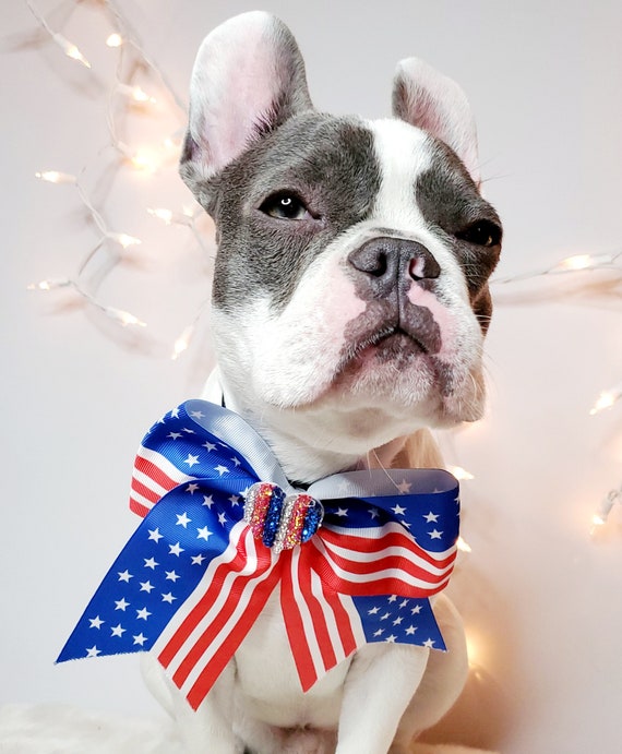 Noeud papillon de drapeau américain pour chien ou chat // Cravate